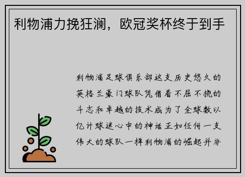 利物浦力挽狂澜，欧冠奖杯终于到手