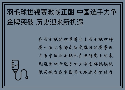 羽毛球世锦赛激战正酣 中国选手力争金牌突破 历史迎来新机遇
